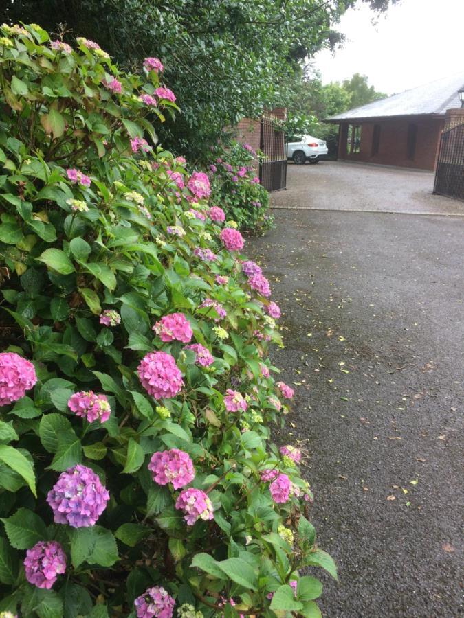 Lios Daire Cill Airne Exteriör bild